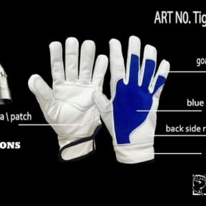 TIG 2322 — Detailed